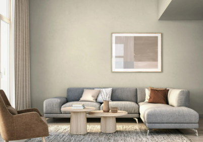 Sesame Seed Interior Flat Paint
